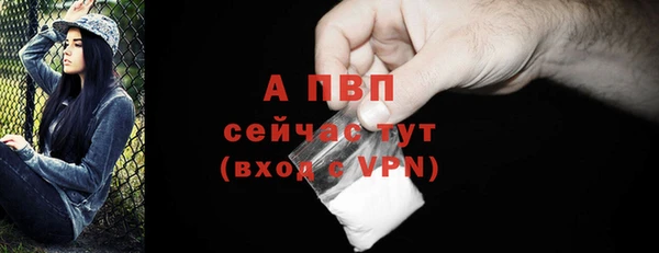 Альфа ПВП Новозыбков
