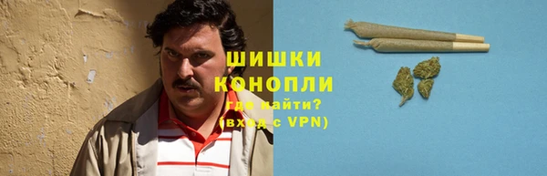 Альфа ПВП Новозыбков